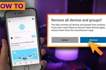 How to reset your smart home devices and start over with Alexa
