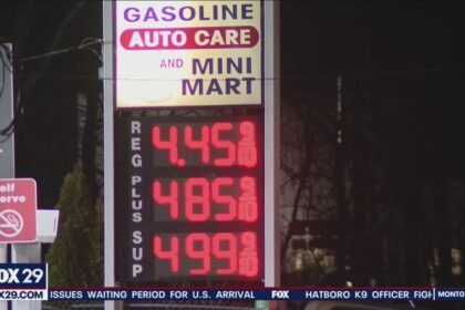 Experts share tips to help maximize fuel efficiency as gas prices skyrocket